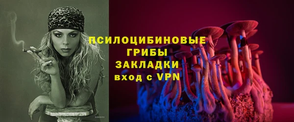 ALPHA PVP Горнозаводск