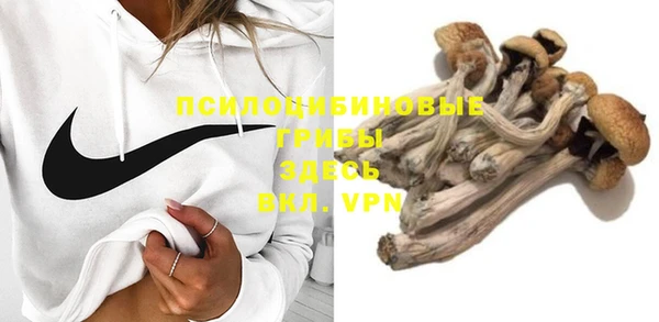 ALPHA PVP Горнозаводск