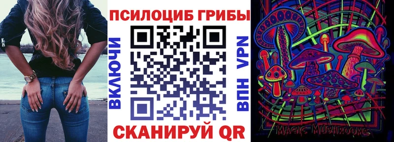 Псилоцибиновые грибы прущие грибы  Новоржев 